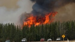 Interview with Mthokozisi Ndlovu, A Zimbabwean In Canada Displaced By Raging Wild Fires