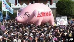 台北民眾遊行抗議政府允許美國豬肉進口台灣的決定。 （2020年11月22日）