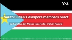 South Sudan’s diaspora members react