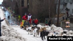 Musher Wade Marrs dari Wasillal, Alaska, Sabtu, 7 Mar 2015, di acara pembukaan Iditarod Trail Sled Dog Race, Anchorage, Alaska.