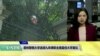 VOA连线(许湘筠)： 普林斯顿大学蝉联全美最佳大学榜首