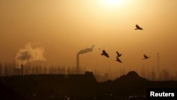 Una bandada de pájaros sobrevuela las cercanías de varias fábricas en la provincia de Hebei, China, en una imagen de archivo de febrero de 2016.