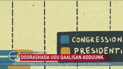 Qarashka ku baxa doorashada Mareykanka