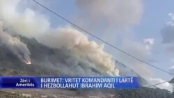 Burimet: vritet komandanti i lartë i Hezbollahut Ibrahim Aqil 