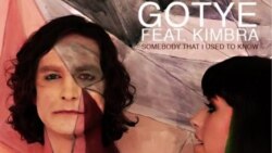 'Somebody That Used to Know' Gotye