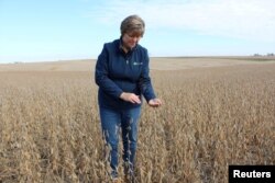 FILE PHOTO: Soybean farmer Pat Swanson examines her soybean crops as farmers struggle in Ottumwa, Iowa, Oct. 4, 2019.