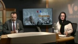 بي بي شیرینه – وي او اې ډيوه په ټیلې ویژن