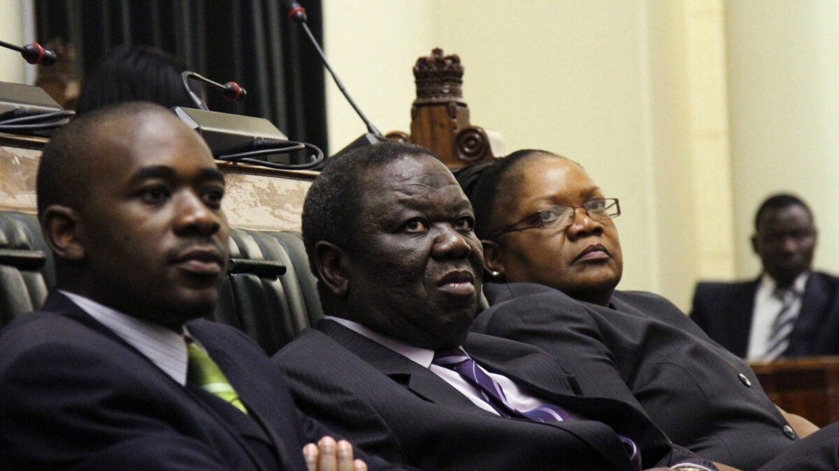 Zimbabwe Draft Constitution Produces Heated Debate