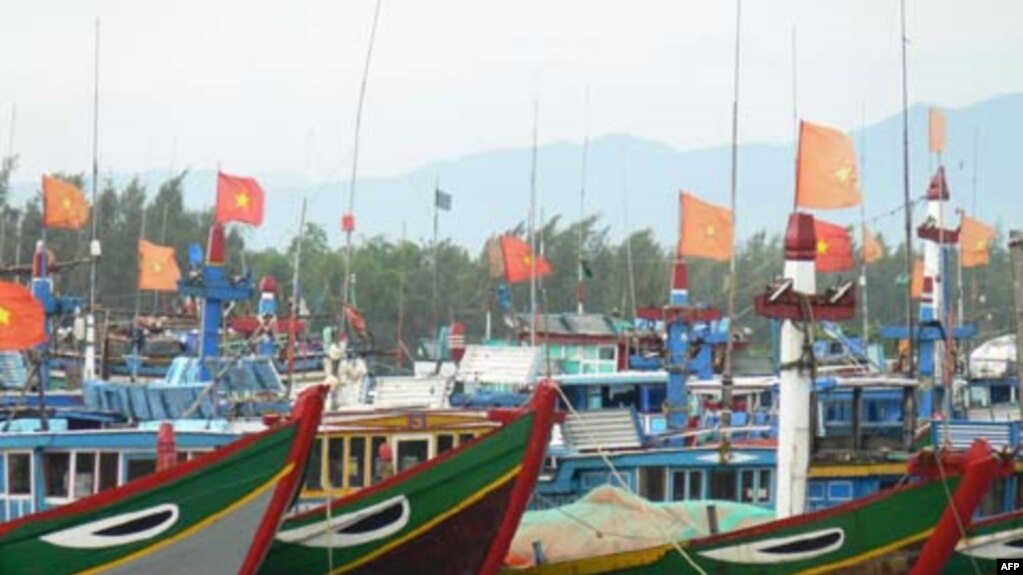 Các quốc gia này kêu gọi chính phủ Việt Nam phải có trách nhiệm quản lý các tàu cá.