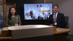 بي بي شیرینه – د ډیوه ریډیو په ټی وي خپرونه