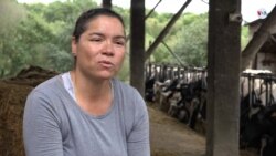 "A pesar de que soy ingeniero trabajo como peón de granja"