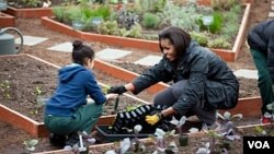 Michelle Obama sembró su popular jardín en la Casa Blanca con la ayuda de niños.