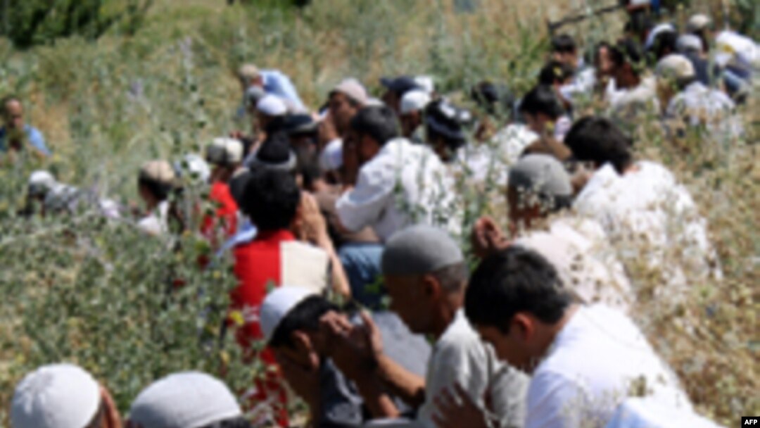 Zo'ravonlikni zo'ravonlik bilan tekshirib bo'lmaydi, deydi huquq tashkiloti
