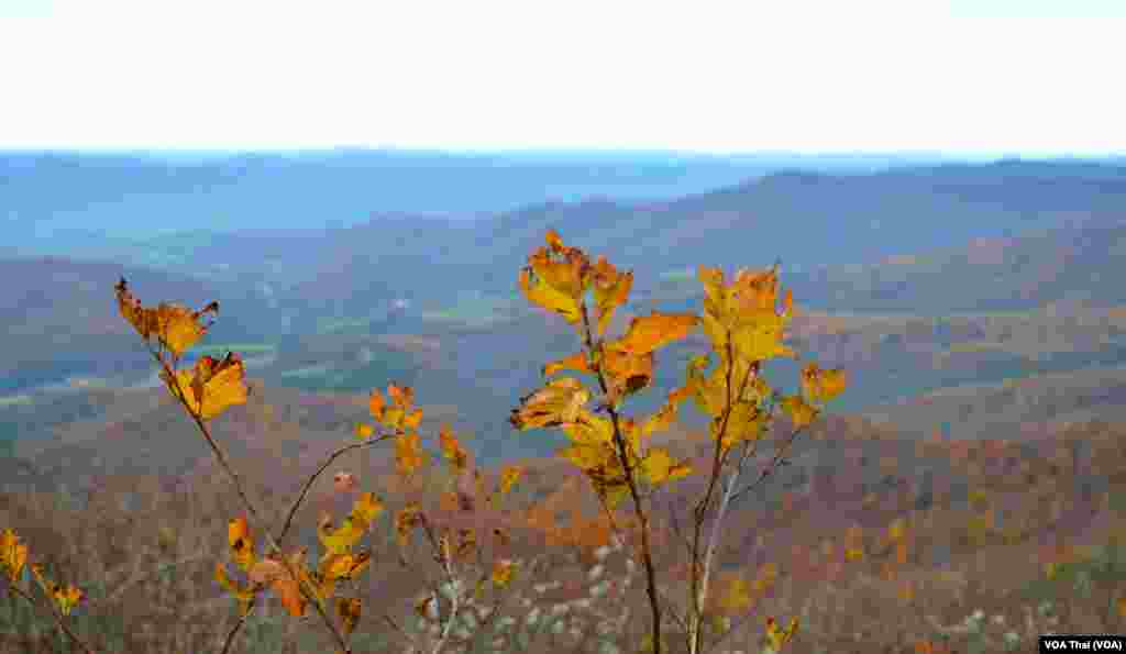 Shenandoah National Park&nbsp;