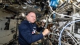 NASA astronaut Butch Wilmore shows research hardware for a study that explores 3D printing of on-demand medical devices on the International Space Station on Dec. 2, 2024.