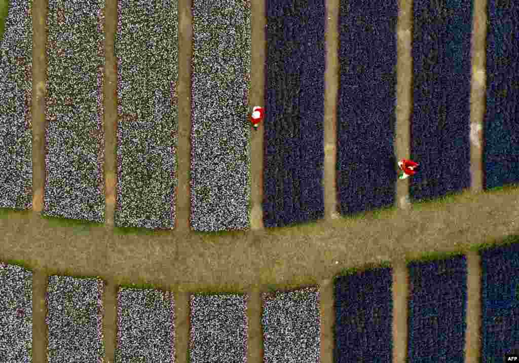 An aerial view shows local residents visiting a river side park in Taipei during the Lunar New Year.