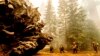 Petugas pemadan kebakaran bekerja keras melindungi jalan setapak "Trail of 100 Giants" di hutan nasional Sequoia, California, dari "Windy Fire", 19 September 2021. (AP Photo/Noah Berger)