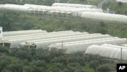 A tank is seen in the Syrian port city of Banias April 10, 2011