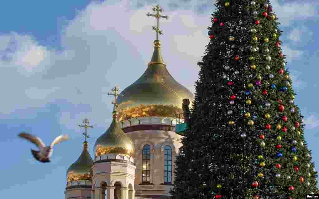 Um trabalhador decora uma árvore de Ano Novo para as próximas festas de fim de ano em Vladivostok, Rússia. 12 Dezembro 2021