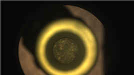 Perseverance’s first cored-rock sample of Mars rock is seen inside its titanium container tube in this image taken by the rover’s Sampling and Caching System Camera. (Image Credit: NASA/JPL-Caltech)