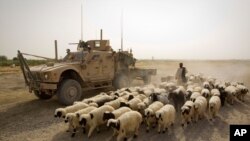 ظاهر عظیمی: سرحد رسمی بین افغانستان و پاکستان وجود ندارد