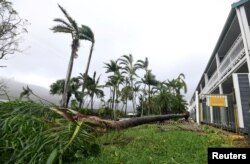 A tree lies on the ground near a motel after falling during strong winds from Cyclone Debbie at Airlie Beach, located south of the northern Australian city of Townsville, March 28, 2017.