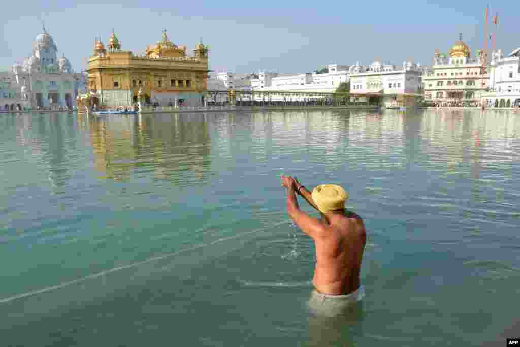 An Indian Sikh devotee takes a dip in the holy sarover (water tank) at the Golden Temple in Amritsar.