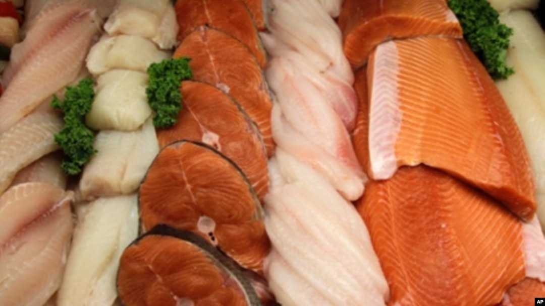 fish