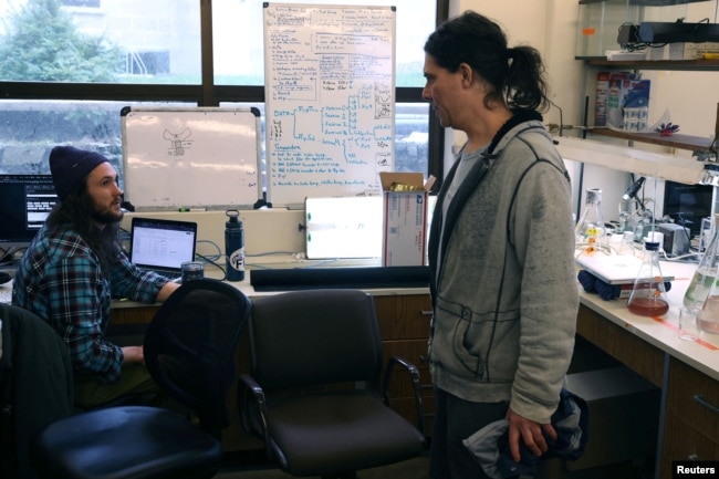 Senior Research Scientist Jason Hodin of the University of Washington’s Friday Harbor Marine Lab speaks with research assistant and diver Joey Ullmann inside the lab at the university’s field station in Friday Harbor, Washington, U.S., February 11, 2023. (REUTERS/Matt Mills McKnight)