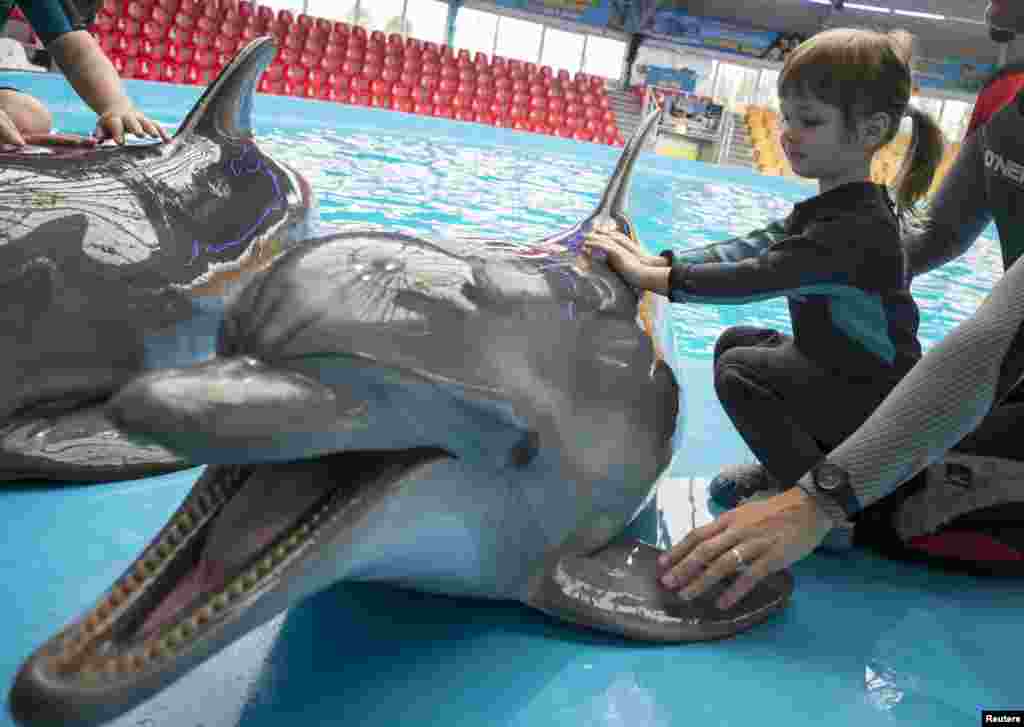 A girl touches a dolphin during a dolphin therapy session at the Nemo Dolphinarium in Kyiv, Ukraine. 