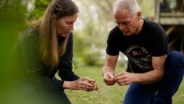University of Maryland entomologists Michael Raupp and Paula Shrewsbury sift through a shovel of dirt to pick out cicada nymphs in a suburban backyard in Columbia, Md., Tuesday, April 13, 2021. (Carolyn Kaster)