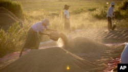 FILE - Myanmar farmers lay paddy for ventilation. The NLD promises to improve conditions for Myanmar's agricultural workers.