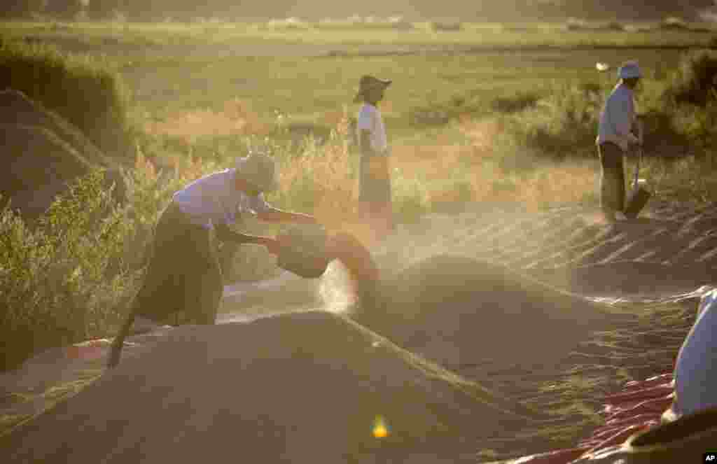 Para petani Myanmar mengangin-anginkan beras di lahan dekat Myanmar International Convention Center, tempat berlangsungnya KTT ASEAN di Naypyitaw, Myanmar (11/11). (AP/Gemunu Amarasinghe)