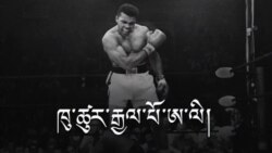 Muhammad Ali: Float Like a Butterfly, Sting Like a Bee