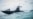 Iranian Revolutionary Guards Claim Seized Oil Tanker Smuggling Diesel