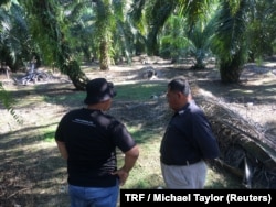 Seorang petani rakyat kelapa sawit (kanan) dan konsultan dari Wild Asia membahas pertanian berkelanjutan di sebuah perkebunan kelapa sawit dekat Johor, Malaysia, 22 Maret 2018.