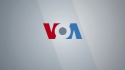 VOA Our Voices 202: Sex on the Syllabus?