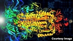 This illustration represents the vibrational properties of the new coronavirus (SARS-Cov-2). Primary colors represent the spike's three protein chains. (Image courtesy of Markus Buehler)