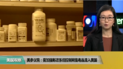 时事看台(易林)：美参议院：需加强邮政系统控制网售毒品进入美国