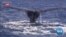 New York City: A New Spot for Whale-Watching
