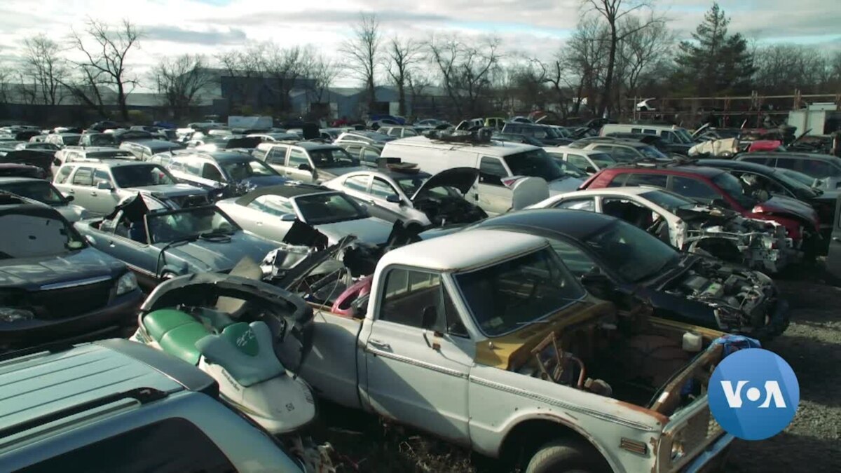 Maryland Junkyard Business Breathes New Life Into Old Cars Gwara