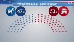 大选倒计时2020---参议院多数党席位的争夺