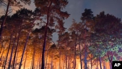 A fire burns in the forest near the German village of Klausdorf, about 85 kilometers (53 miles) south of Berlin on Aug. 24, 2018. 