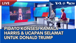 Laporan VOA untuk SCTV: Pidato Konsesi Kamala Harris dan Ucapan Selamat untuk Trump 