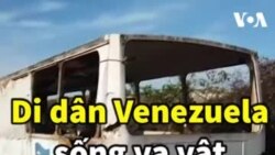 Di dân Venezuela sống vạ vật trên đất khách