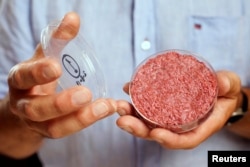 lab-grown meat