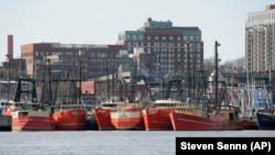 Fishing boats sit in New Bedford Harbor, in New Bedford, Massachusetts. Fishermen in the nation's most profitable port share increasing concern over the growing offshore wind industry.