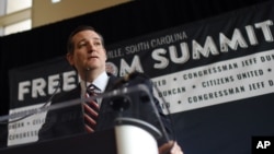 Republican presidential candidate Sen. Ted Cruz, R-Texas speaks to the media at the Freedom Summit in Greenville, S.C., May 9, 2015.