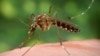 Alerta por Zika para ciudad de Texas