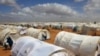 Aid Group: 'Inhuman' Conditions at Kenyan Refugee Camps